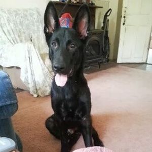 Meet your Posher, Lynn